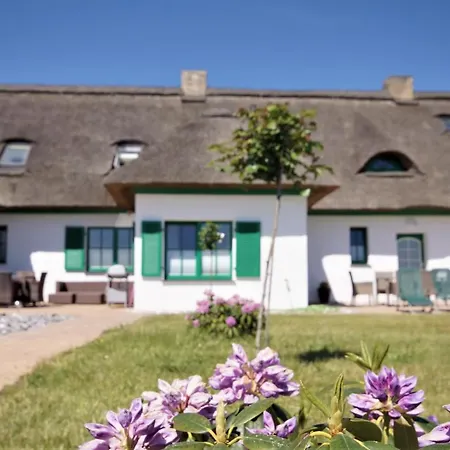 Reetferienhaus Rauchseeschwalbe