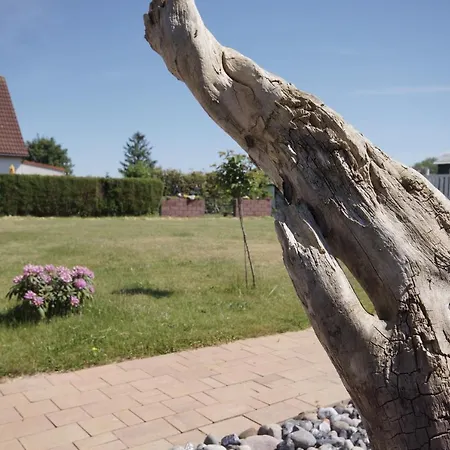 Reetferienhaus Rauchseeschwalbe Apartamento *